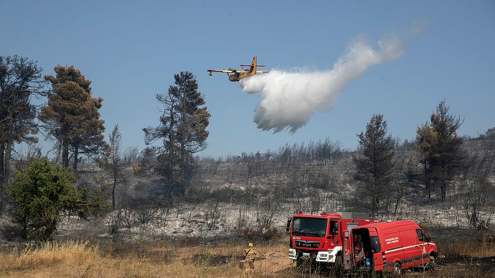 Δασικές πυρκαγιές στην Ελλάδα: 58 πυροσβεστικά σημεία, πέντε χωριά εκκενώθηκαν