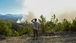 آتش سوزی در ترکیه