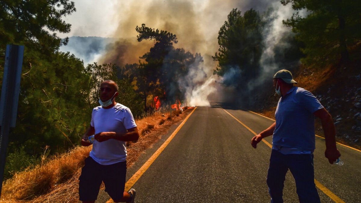 Лесные пожары в Европе: версия — поджоги