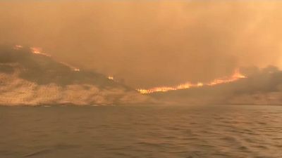 Bodrum'da yangınla mücadele