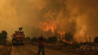 Türkiye'de orman yangınları