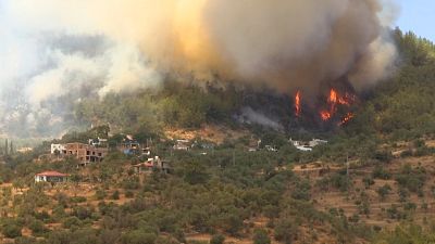 شاهد: سكان جنوب تركيا يفرون من حرائق الغابات