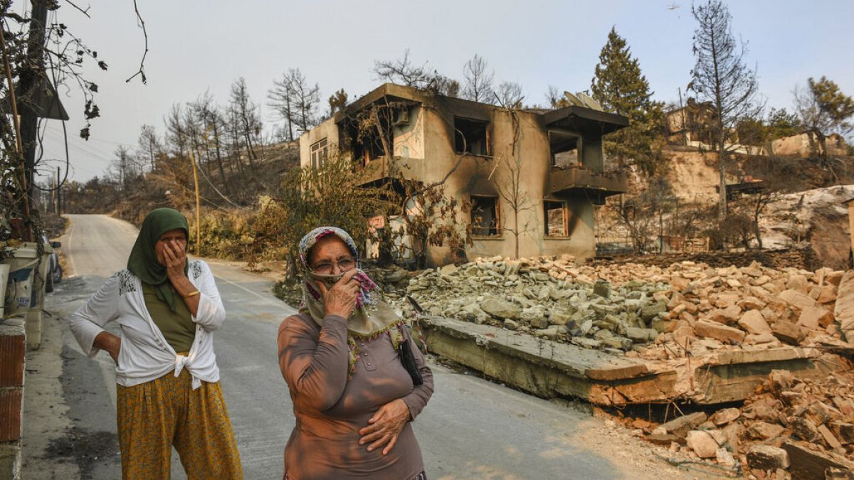 Schock über Waldbrände in der Türkei