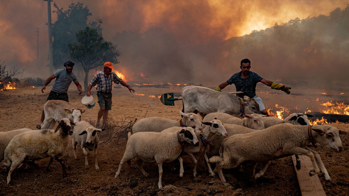 Locals scramble to flee or try and contain a forest fire at Cokertme on Turkey's southern coast