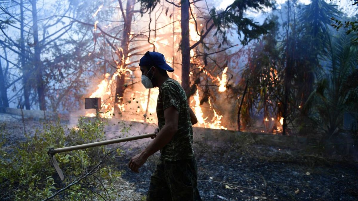 Un incendio boschivo nella zona di Adames, a nord di Atene, Grecia