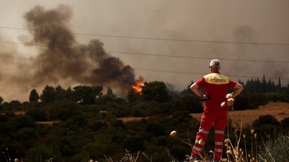 Δασικές πυρκαγιές στην Ελλάδα: χιλιάδες εγκαταλείπουν τα σπίτια τους βόρεια της Αθήνας
