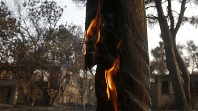 Πρωινές εικόνες από την πυρκαγιά στη Βαρυμπόμπη