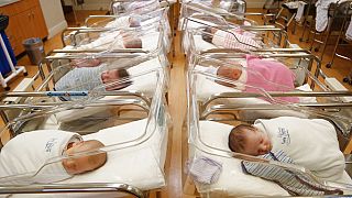    صورة لاطفال حديثي الولادة في حضانة آيش شايل، مركز التعافي بعد الولادة، في كرياس جويل، نيويورك.2017