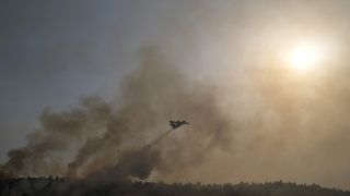 Yunanistan'da yangına müdahale eden bir uçak