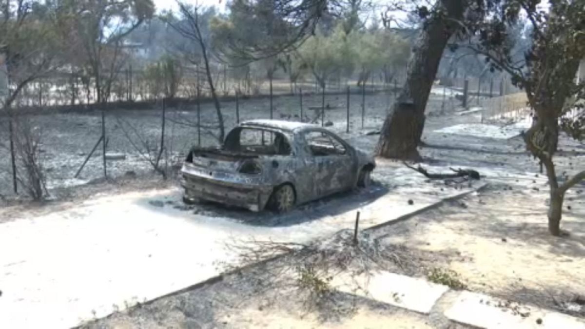 Devastation in Varybobi, after forest fire