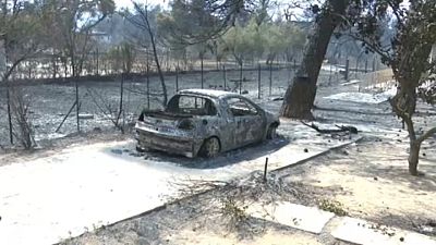 Grecia sufre 81 incendios en un día