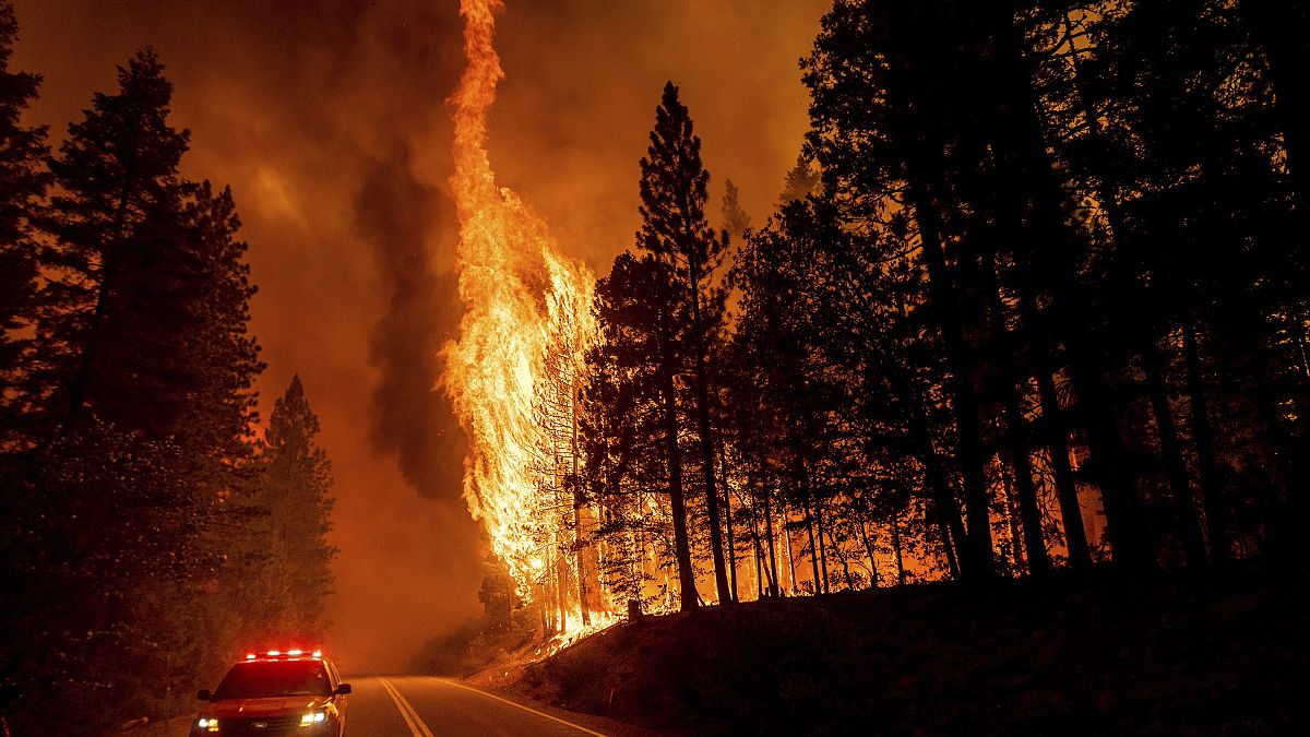 آتش‌‌سوزی در کالیفرنیا؛ هزاران آتش‌نشان برای مهار حریق تلاش می‌کنند
