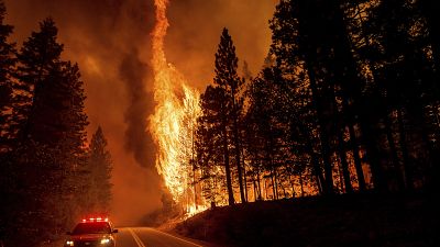 آتش‌‌سوزی در کالیفرنیا؛ هزاران آتش‌نشان برای مهار حریق تلاش می‌کنند