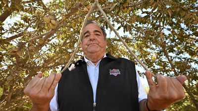	ديفيد ساغوسب يقف لالتقاط صورة تحت شجرة لوز في ولاية كاليفورنيا. 
