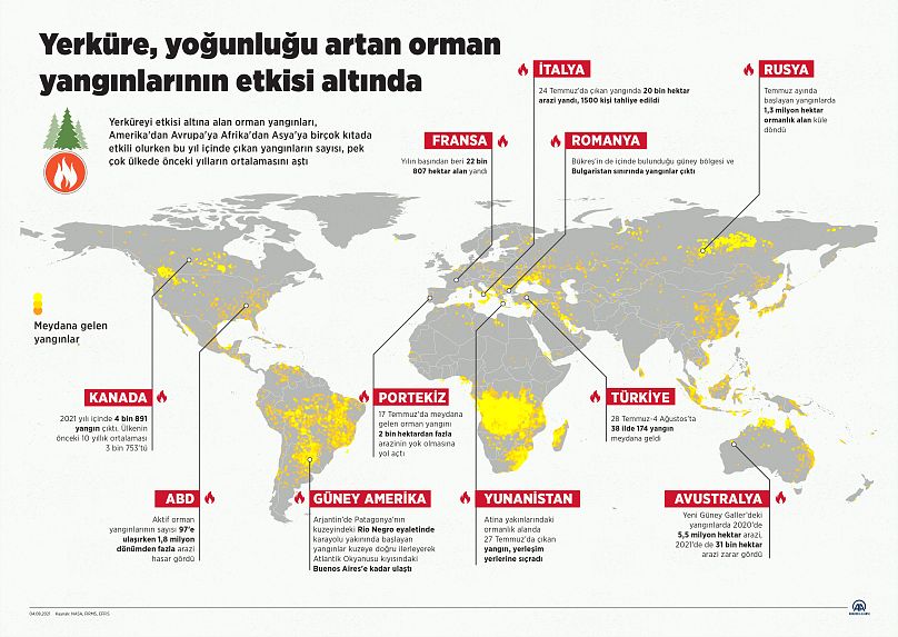 Grafik: Kemal Delikmen/Anadolu Ajansı