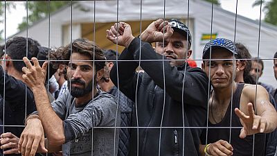 '¡Queremos quedarnos en Europa!' Cientos de migrantes retenidos en Lituania piden ayuda a la UE