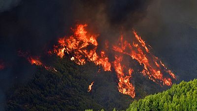 Φωτιές στην Ηλεία