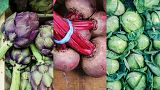 Artichokes, beetroots and cabbage will all be in season in the UK for the conference in November. 