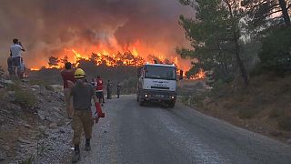 En Turquie, les pompiers ont réussi à maîtriser l'incendie près de la centrale thermique. 