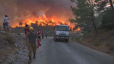 En Turquie, les pompiers ont réussi à maîtriser l'incendie près de la centrale thermique. 
