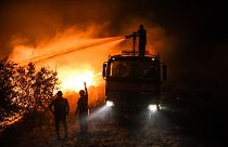 Antalya'nın Manavgat ilçesinde orman yangınına müdahale eden itfaiye erleri