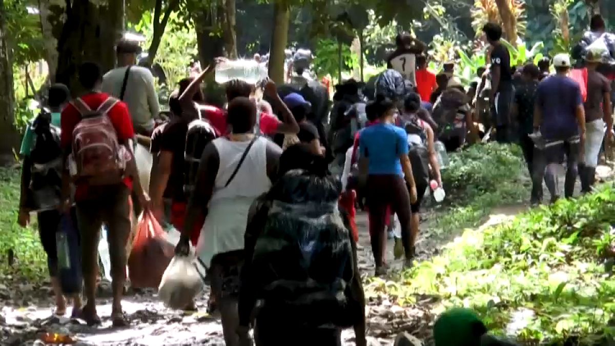 Un grupo de personas migrantes atraviesa la selva del Tapón del Darién, entre Colombia y Panamá.