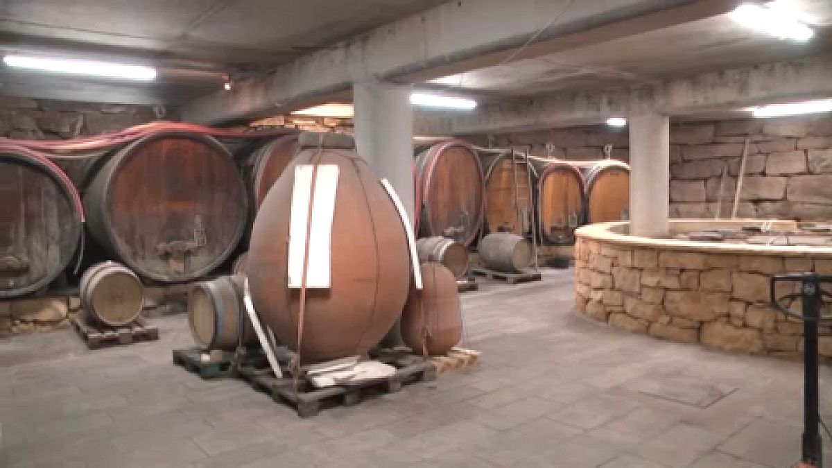 Barrels stored in Laurent Bannwarth's cellar