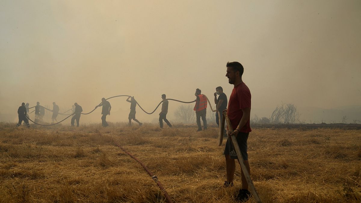 Milhares de pessoas fogem aos fogos na Grécia e na Turquia