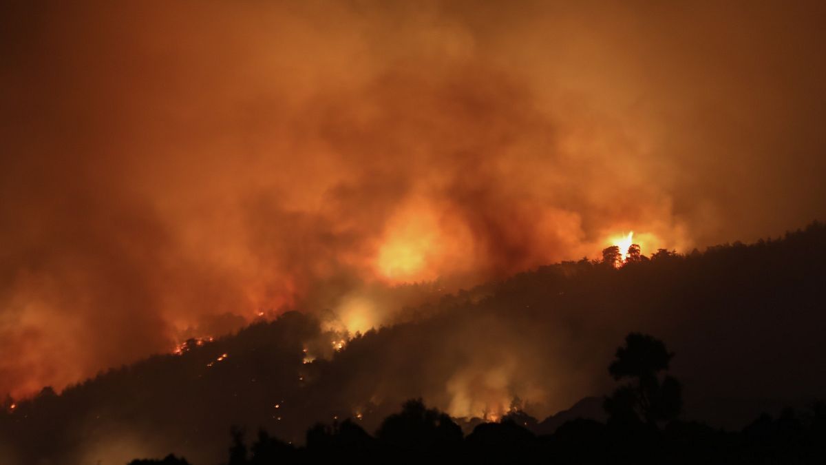 Türkiye'deki orman yangınları