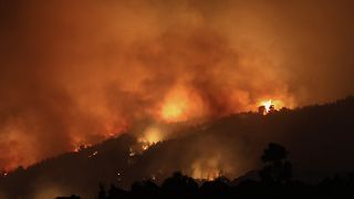 Türkiye'deki orman yangınları