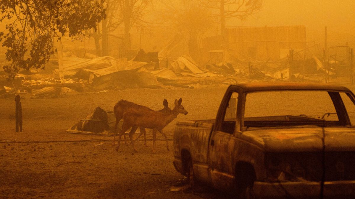 شاهد: "ديكسي فاير" يصبح ثالث أكبر حريق في تاريخ كاليفورنيا