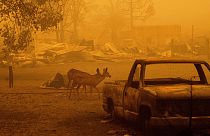 El incendio forestal de California sigue sin control
