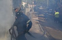 Bomberos luchan contra las llamas en la zona de Thrakomacedones, al norte de Atenas