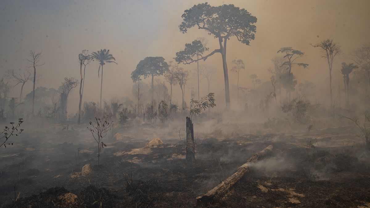 Un altro anno nero per gli incendi in Brasile