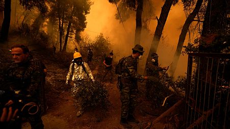 People try to extinguish the flames during a wildfire at Pefki village on Evia island on Aug. 8, 2021.