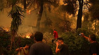 Évia szigetén több falu leégett, hat napja pusztítanak ott a lángok