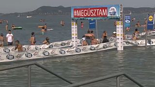 Una carrera a nado de 7.000 participantes