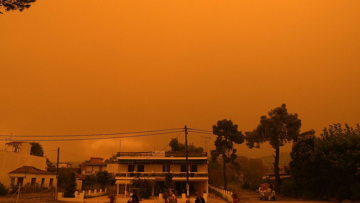Columnas de humo y cenizas bloquean el sol sobre Eubea la segunda isla más grande de Grecia, mientras un incendio forestal de varios días de duración devora bosques vírgenes. 