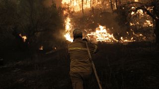 Πυροσβέστης επιχειρεί στην κατάσβεση της πυρκαγιάς στην περιοχή Πευκί στη Βόρεια Εύβοια, Κυριακή 08 Αυγούστου 2021