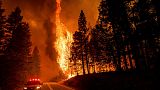 Flames leap from trees as the Dixie Fire jumps Highway 89 north of Greenville in Plumas County, Calif., on Tuesday, Aug. 3, 2021