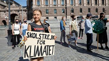 Swedish climate activist Greta Thunberg and other activists gather for a protest against climate change in front of the Swedish parliament building in Stockholm on July 2.
