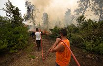 Die Waldbrände breiten sich in weiten Teilen Ost- und Südeuropas aus