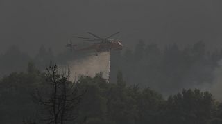 Incendies : l'île d'Eubée part en fumée, 650 pompiers impuissants face aux flammes