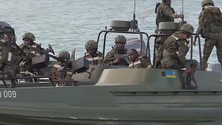 Mozambique: Sigh of relief following troops retake of key port town 