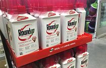 Das Unkrautvernichtungsmittel "Roundup" von Monsanto steht im Verdacht, krebserregend zu sein