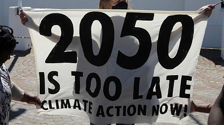 Activists protest for climate justice outside parliament in Cape Town, South Africa,