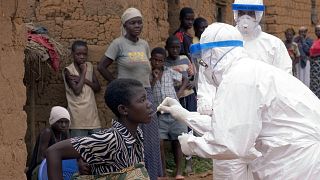 WHO experts head to Guinea after Marburg virus case 