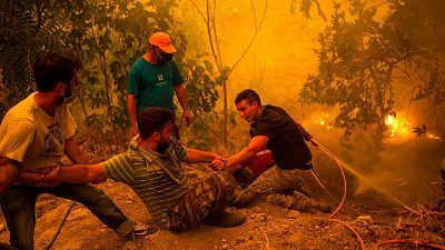 Local residents fight wildfires in the village of Gouves on Evia (Euboea) island. Local residents fight wildfires in the village of Gouves on Evia (Euboea) island.