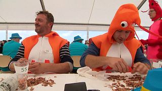 Belgium once again victorious in prawn peeling competition