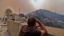 Cezayir'de orman yangınları 
